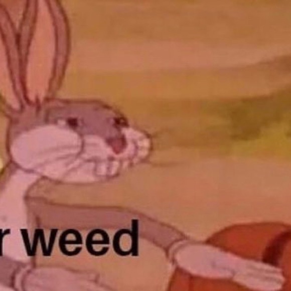 digbicknibbas